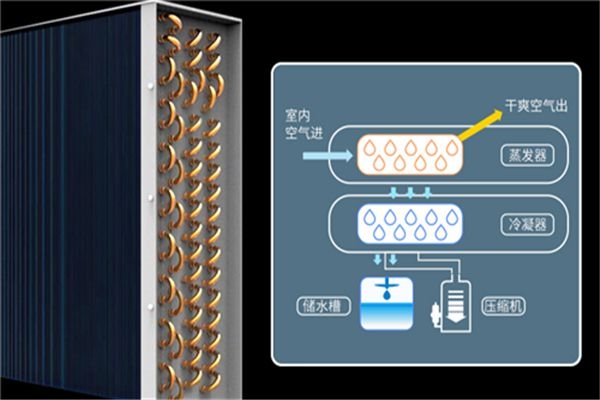 定位：除濕機(jī)廠家開年投資需避雷 市場弱勢(shì)變強(qiáng)勢(shì)