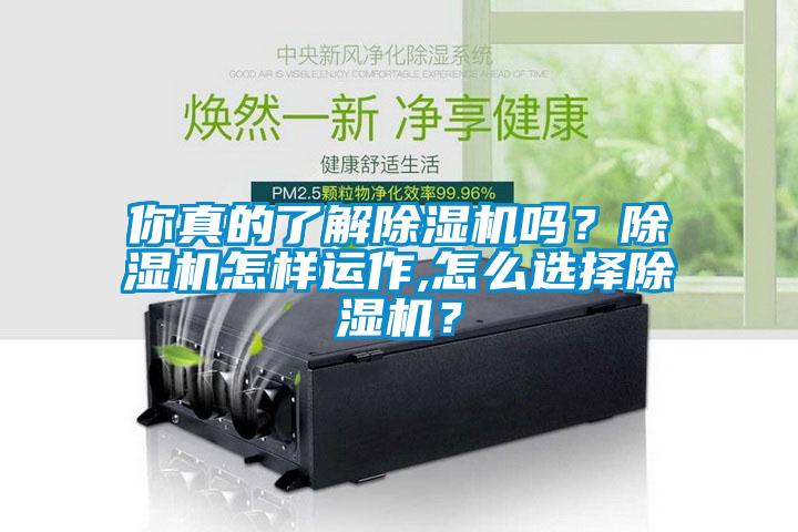 你真的了解除濕機嗎？除濕機怎樣運作,怎么選擇除濕機？