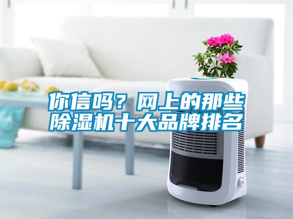 你信嗎？網(wǎng)上的那些除濕機十大品牌排名