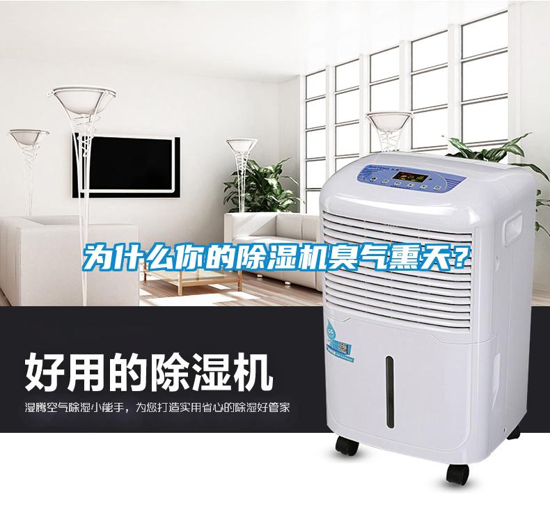 為什么你的除濕機(jī)臭氣熏天？