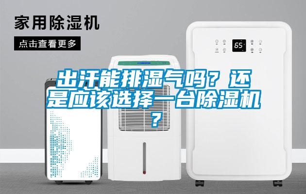 出汗能排濕氣嗎？還是應(yīng)該選擇一臺除濕機？