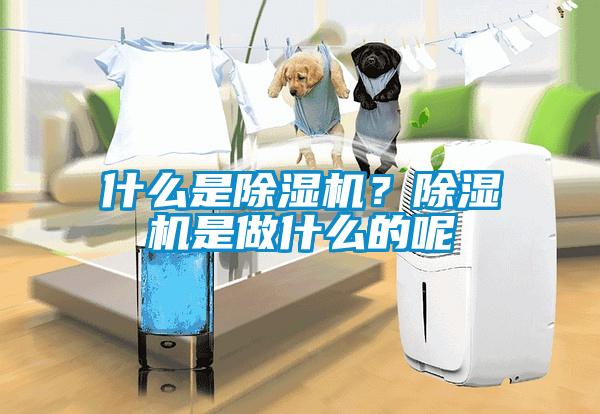 什么是除濕機(jī)？除濕機(jī)是做什么的呢