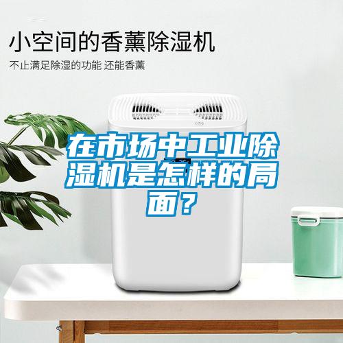 在市場(chǎng)中工業(yè)除濕機(jī)是怎樣的局面？