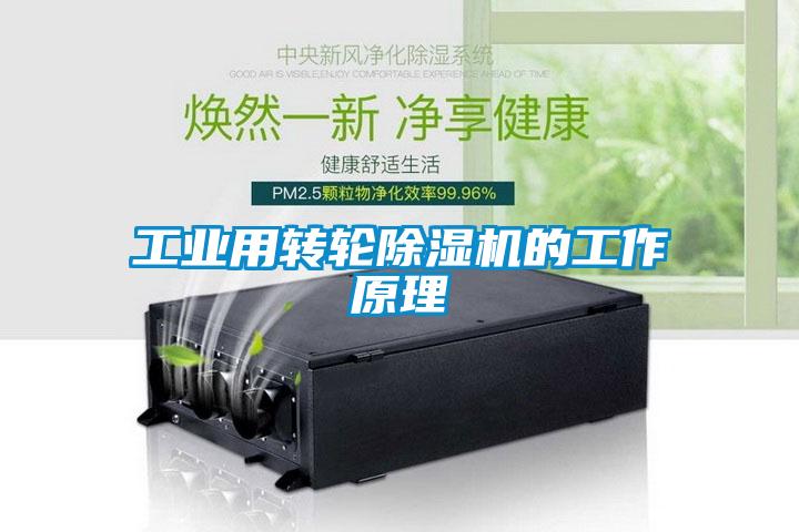 工業(yè)用轉輪除濕機的工作原理