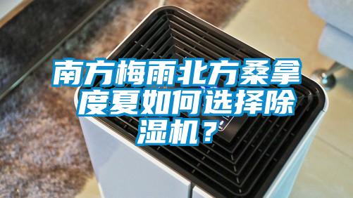 南方梅雨北方桑拿 度夏如何選擇除濕機(jī)？