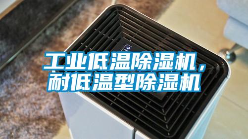 工業(yè)低溫除濕機，耐低溫型除濕機