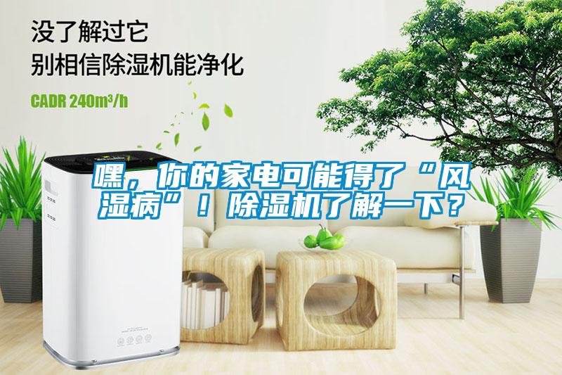 嘿，你的家電可能得了“風濕病”！除濕機了解一下？