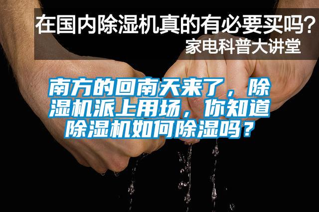 南方的回南天來了，除濕機派上用場，你知道除濕機如何除濕嗎？