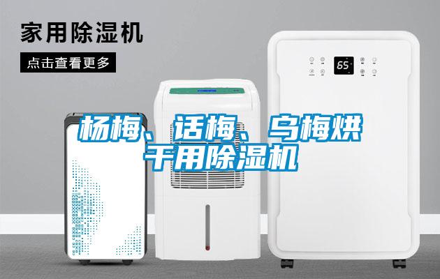 楊梅、話梅、烏梅烘干用除濕機