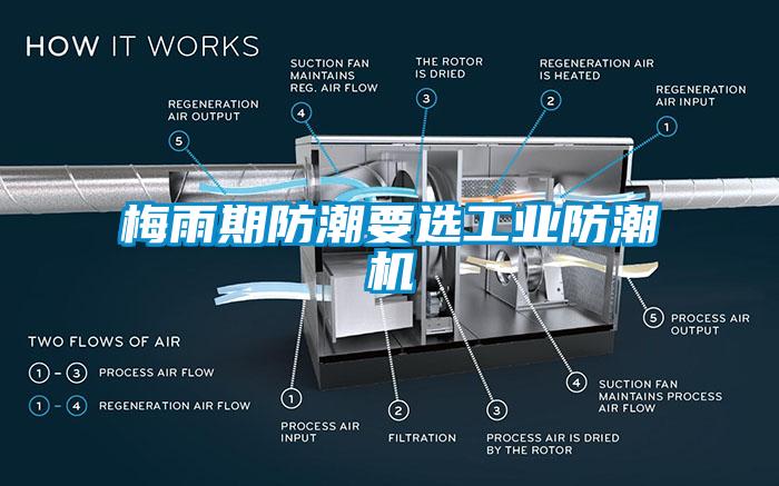 梅雨期防潮要選工業(yè)防潮機(jī)