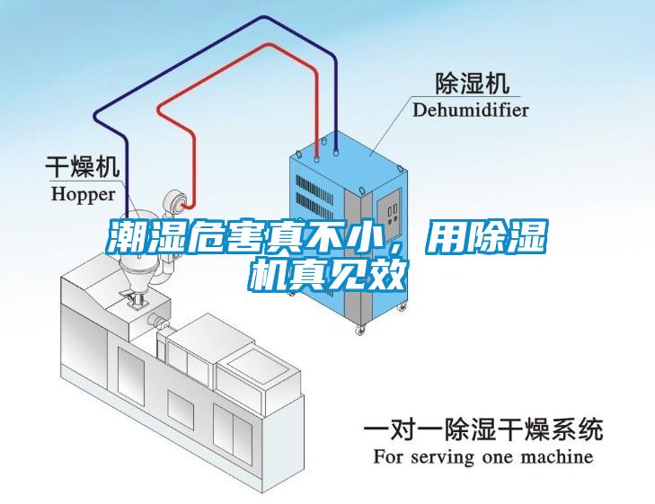 潮濕危害真不小，用除濕機(jī)真見(jiàn)效