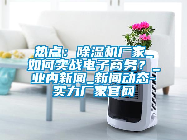 熱點：除濕機廠家_如何實戰(zhàn)電子商務？_業(yè)內(nèi)新聞_新聞動態(tài)-實力廠家官網(wǎng)