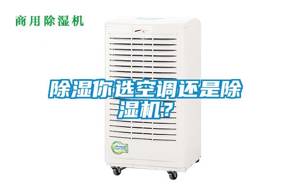 除濕你選空調(diào)還是除濕機？