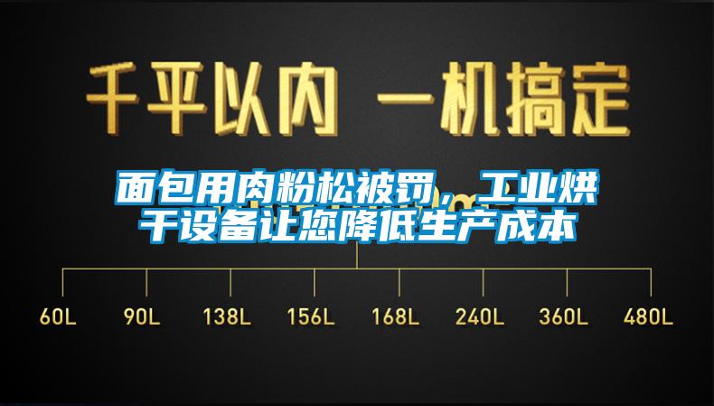 面包用肉粉松被罰，工業(yè)烘干設(shè)備讓您降低生產(chǎn)成本