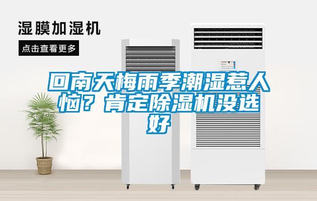 回南天梅雨季潮濕惹人惱？肯定除濕機(jī)沒選好