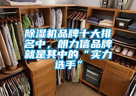 除濕機品牌十大排名中，朗力信品牌就是其中的“實力選手”