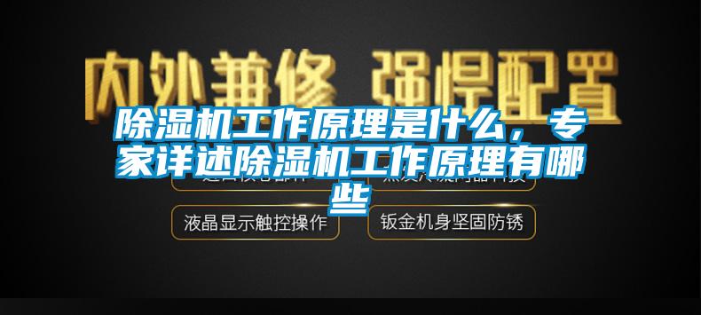 除濕機工作原理是什么，專家詳述除濕機工作原理有哪些