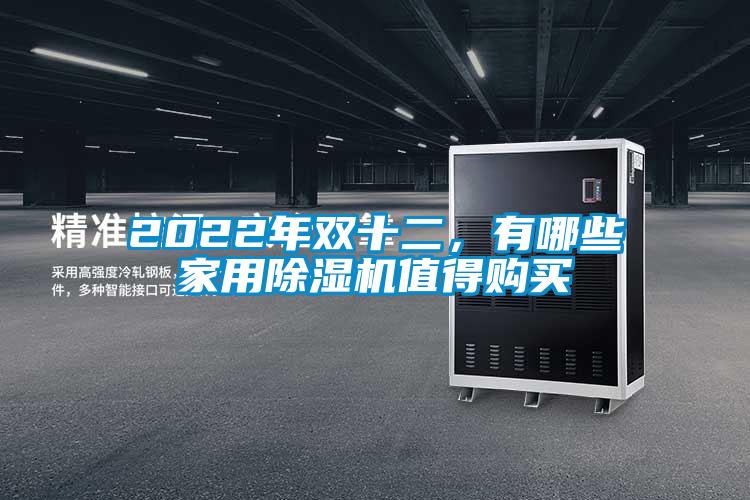 2022年雙十二，有哪些家用除濕機值得購買