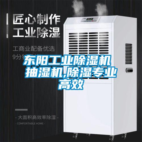 東陽工業(yè)除濕機 抽濕機,除濕專業(yè)高效