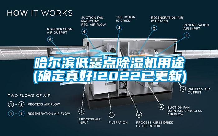 哈爾濱低露點除濕機用途(確定真好!2022已更新)