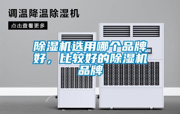 除濕機選用哪個品牌好，比較好的除濕機品牌