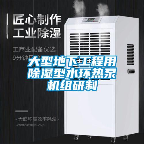 大型地下工程用除濕型水環(huán)熱泵機(jī)組研制