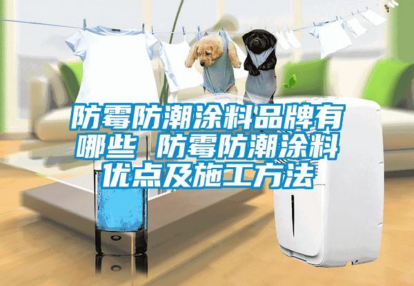 防霉防潮涂料品牌有哪些 防霉防潮涂料優(yōu)點及施工方法