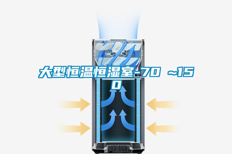 大型恒溫恒濕室-70℃~150℃