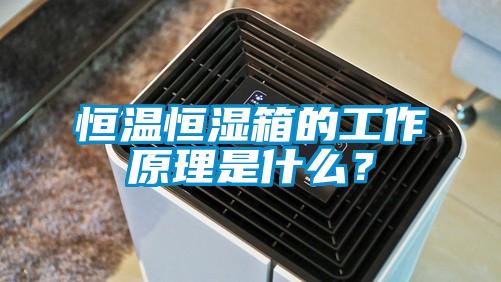 恒溫恒濕箱的工作原理是什么？