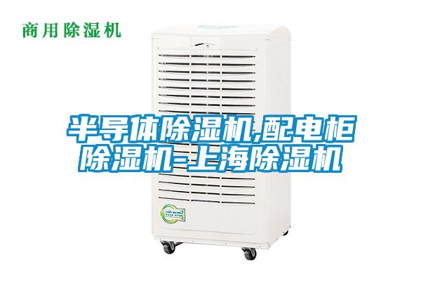 半導(dǎo)體除濕機(jī),配電柜除濕機(jī)-上海除濕機(jī)