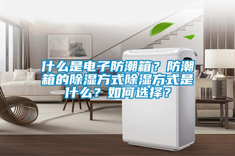 什么是電子防潮箱？防潮箱的除濕方式除濕方式是什么？如何選擇？