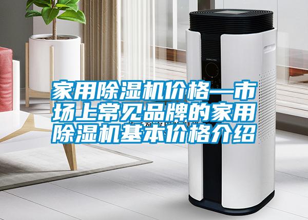 家用除濕機(jī)價(jià)格—市場(chǎng)上常見品牌的家用除濕機(jī)基本價(jià)格介紹