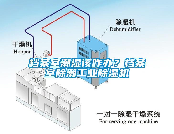 檔案室潮濕該咋辦？檔案室除潮工業(yè)除濕機(jī)