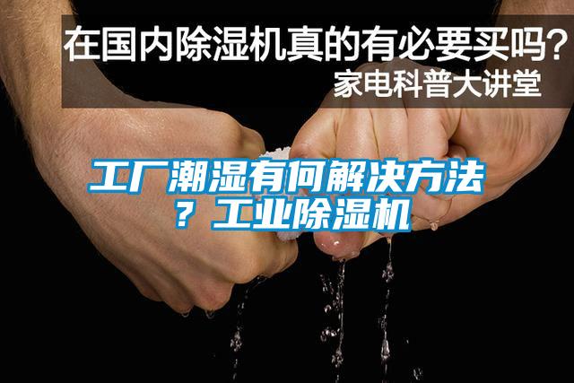 工廠潮濕有何解決方法？工業(yè)除濕機