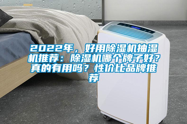 2022年，好用除濕機抽濕機推薦：除濕機哪個牌子好？真的有用嗎？性價比品牌推薦