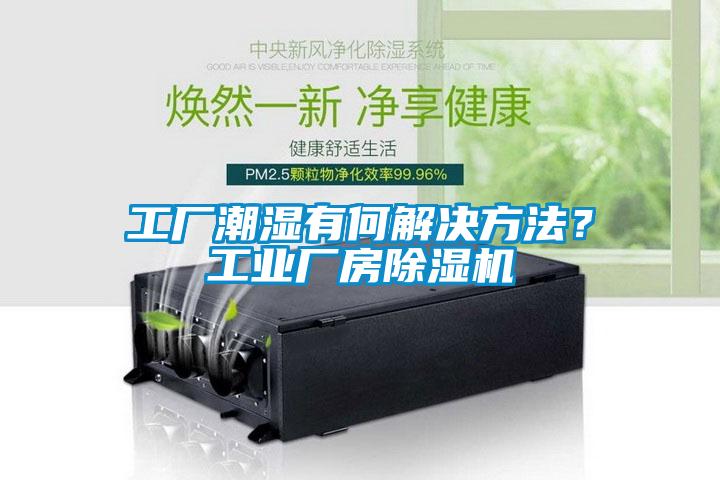 工廠潮濕有何解決方法？工業(yè)廠房除濕機(jī)