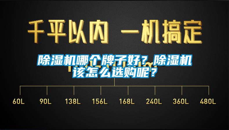 除濕機哪個牌子好？除濕機該怎么選購呢？