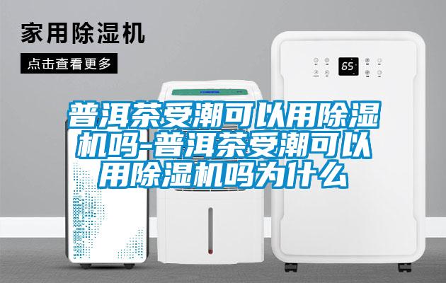 普洱茶受潮可以用除濕機嗎-普洱茶受潮可以用除濕機嗎為什么