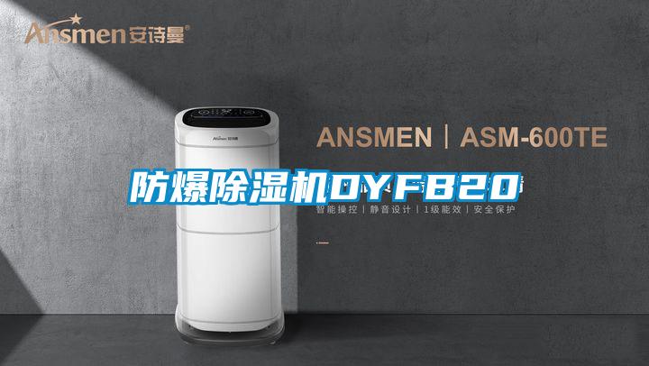 防爆除濕機DYFB20