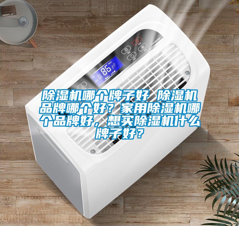 除濕機哪個牌子好 除濕機品牌哪個好？家用除濕機哪個品牌好，想買除濕機什么牌子好？