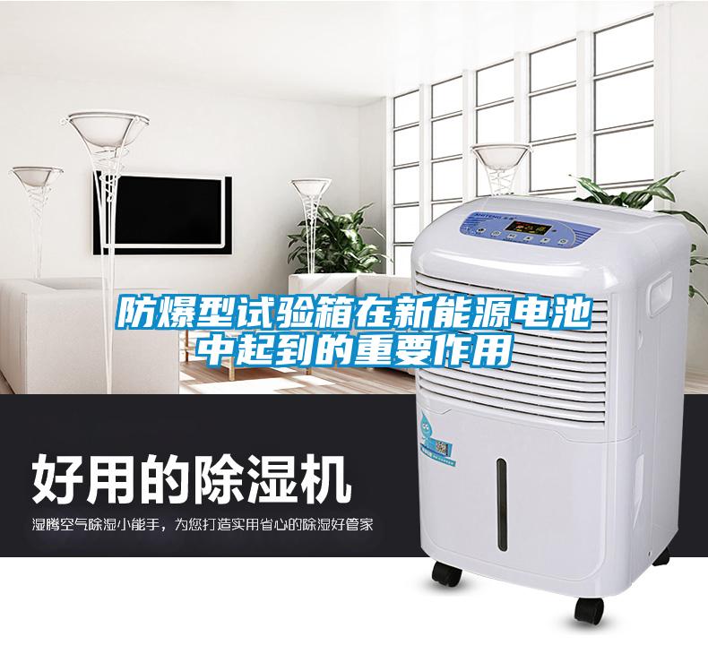 防爆型試驗(yàn)箱在新能源電池中起到的重要作用