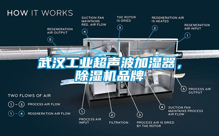 武漢工業(yè)超聲波加濕器，除濕機(jī)品牌