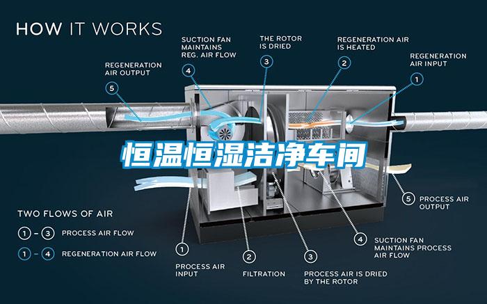 恒溫恒濕潔凈車(chē)間