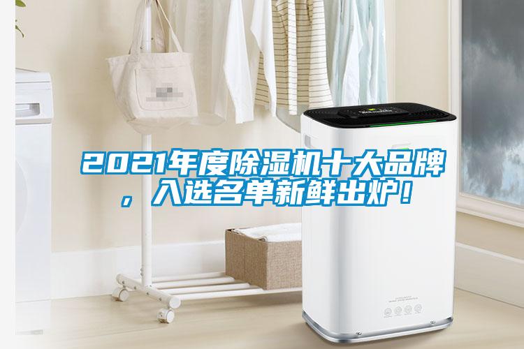 2021年度除濕機(jī)十大品牌，入選名單新鮮出爐！