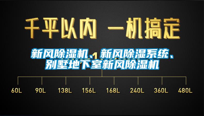 新風(fēng)除濕機、新風(fēng)除濕系統(tǒng)、別墅地下室新風(fēng)除濕機