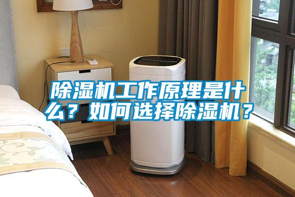 除濕機工作原理是什么？如何選擇除濕機？