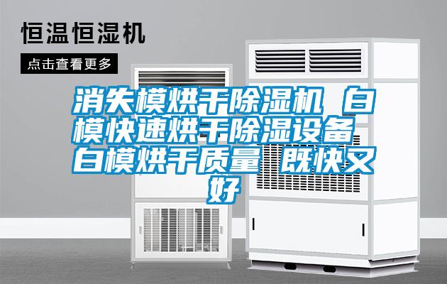 消失模烘干除濕機 白?？焖俸娓沙凉裨O備 白模烘干質量 既快又好