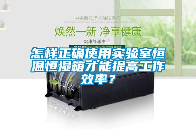 怎樣正確使用實驗室恒溫恒濕箱才能提高工作效率？