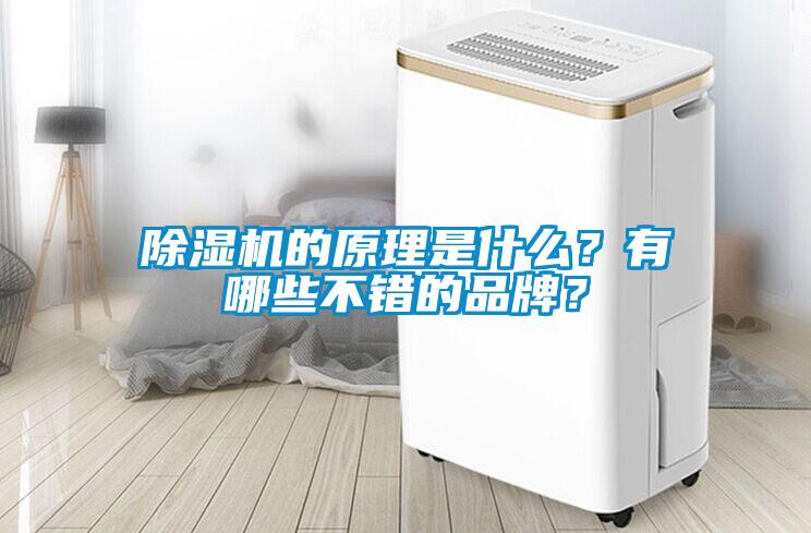 除濕機的原理是什么？有哪些不錯的品牌？