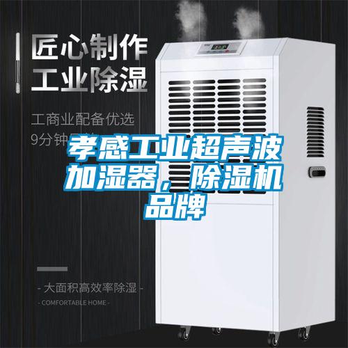 孝感工業(yè)超聲波加濕器，除濕機(jī)品牌